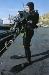 Gign nageur combat